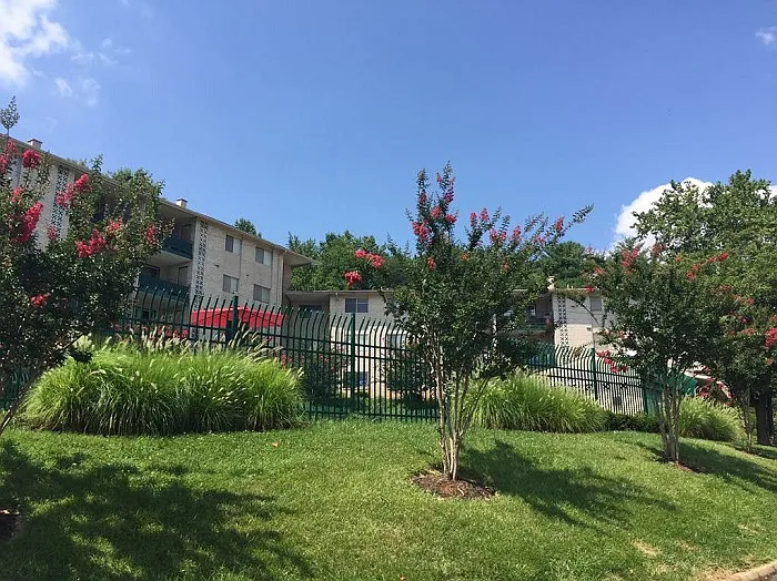 Calvert Hall Apartments — Photo 17
