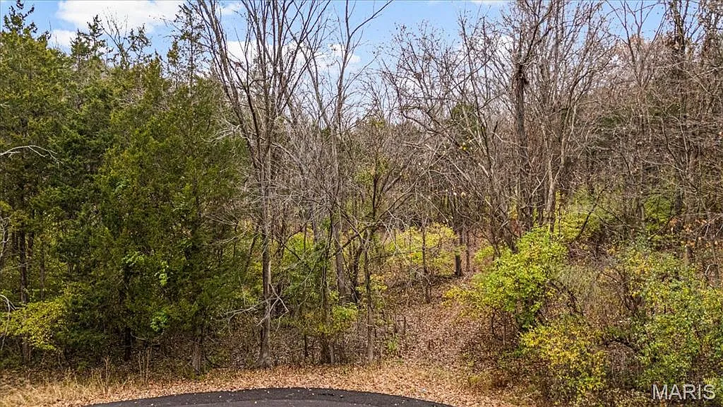 3701 Bear Tooth Ln photo 1