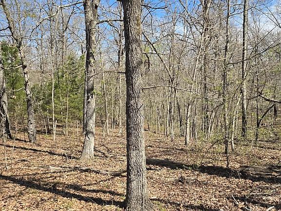 3rd image of 000 Timber Road