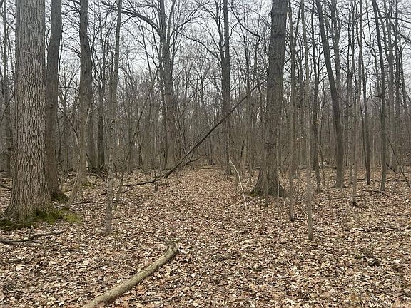 2nd image of S Pittsford Rd #-v/l