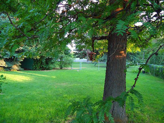 back yard