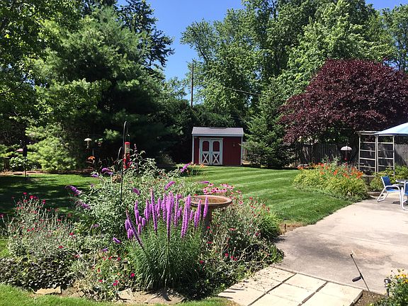 Beautiful Back Yard