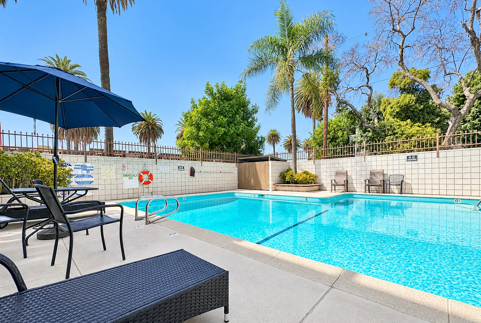 Studio, $1,499 — Photo 4