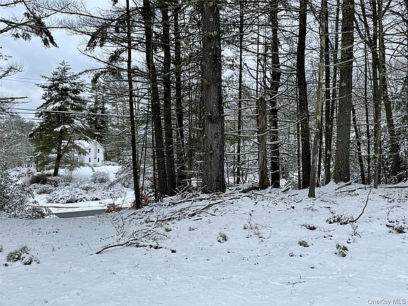 3rd image of 1315 Sackett Lake Rd