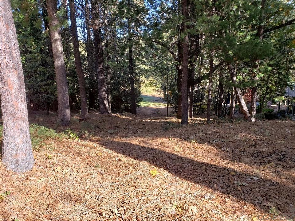 2nd image of 1812 Sandalwood Dr #4