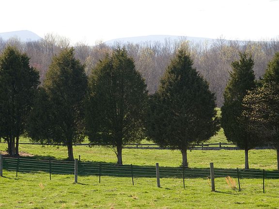 Pasture view