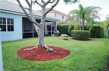 4th image of 959 Lavender Cir