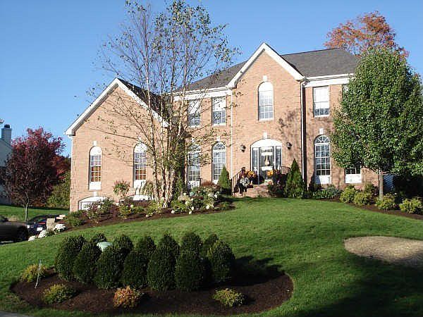 Exstensive professional landscaping & lighting