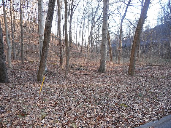 5th image of 104 Tamassee Dr