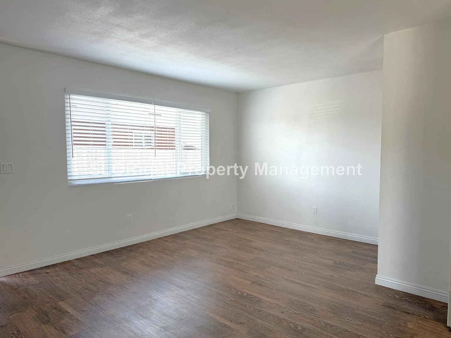 2 bed, 1.0 bath, $2,000 — Photo 3