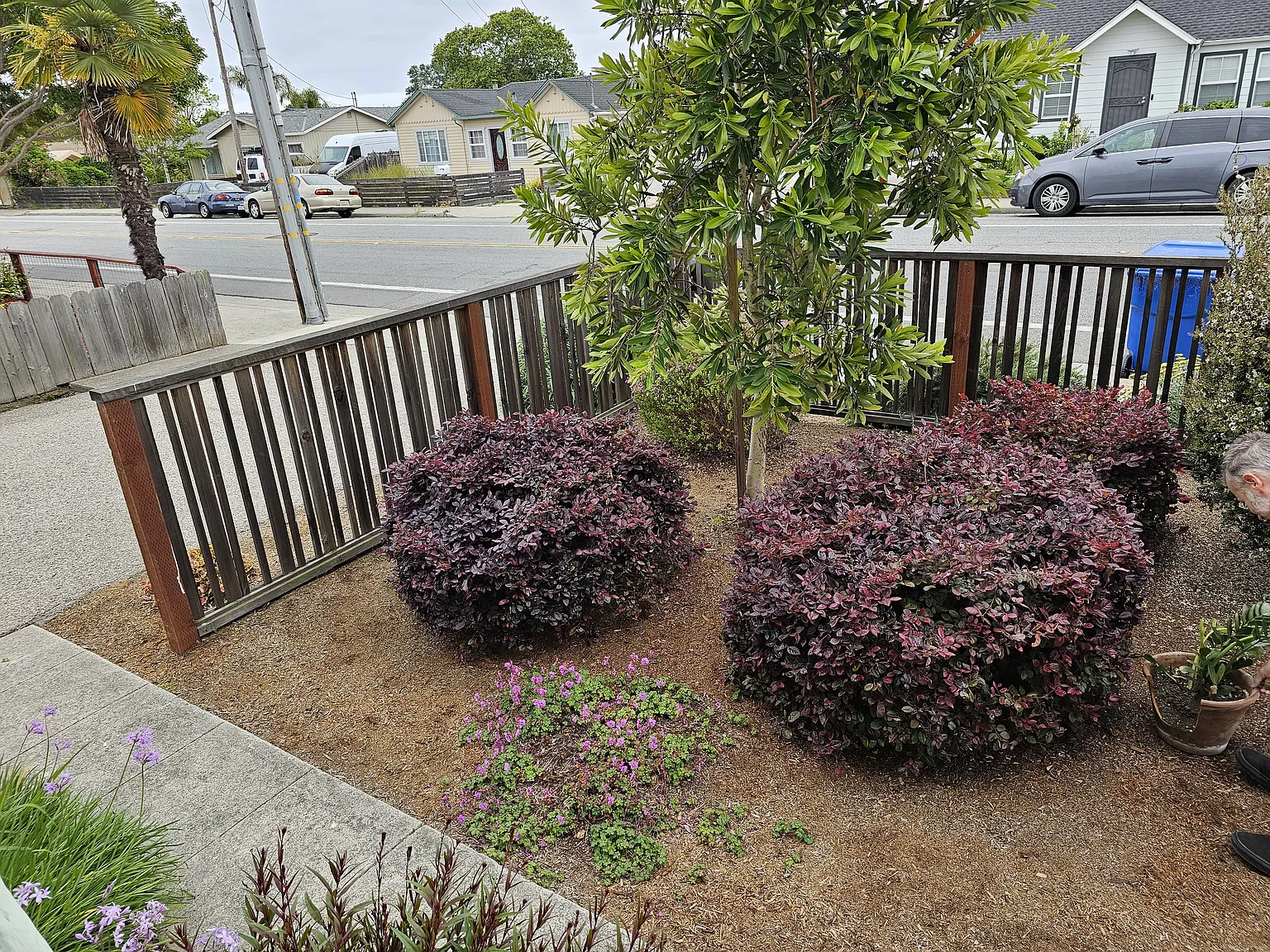 3 bed, $3,900 — Photo 3