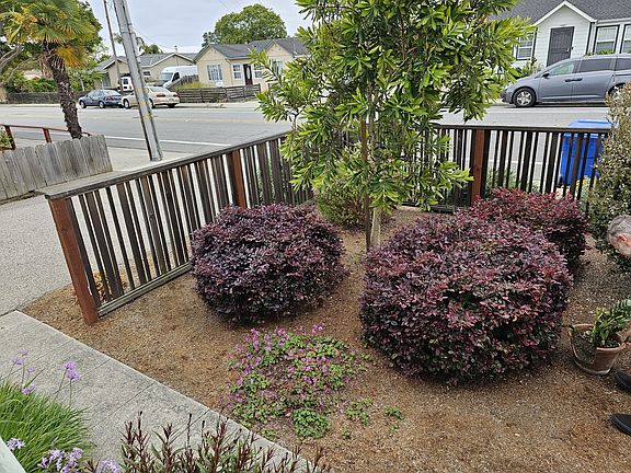3rd image of 1970 17th Ave APT A