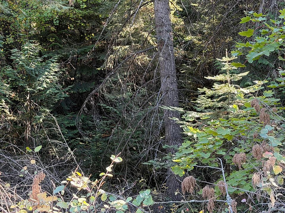 1st image of Nna Gray Eagle Lot 3