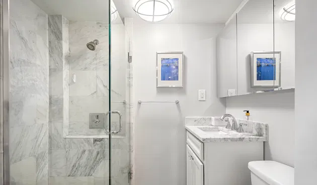 1 bed, 350 sqft, $3,000 — Photo 4