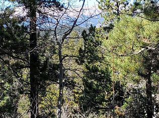 52 Black Bear Trl, Golden, CO 80403