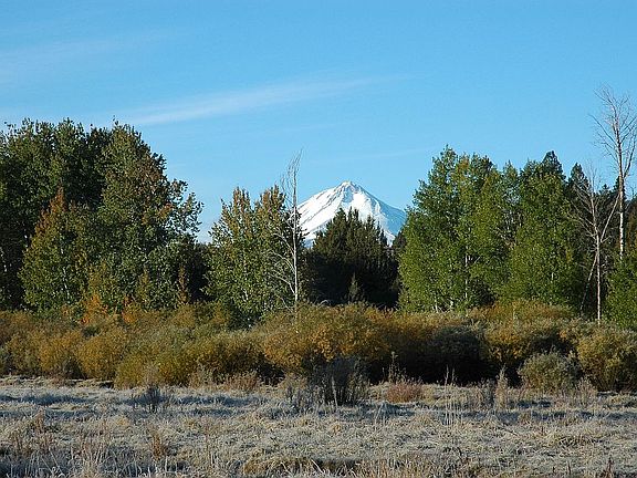 View SW to Mt. Shasta