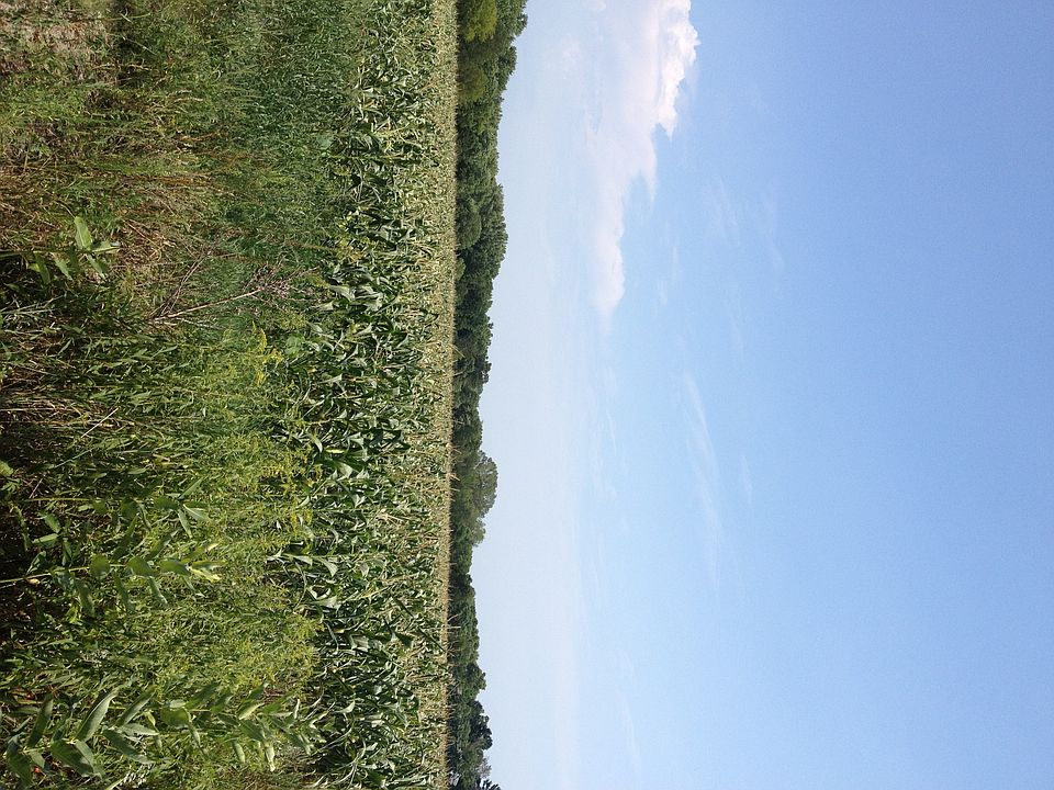 1st image of 0 Hwy V