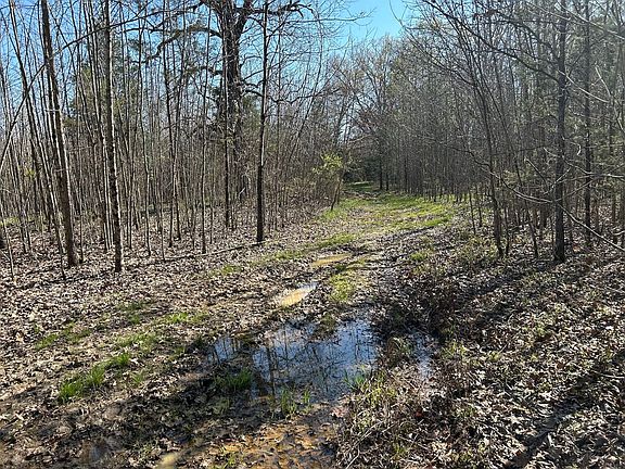 2nd image of 0 Seymore Rd