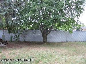 fenced back yard