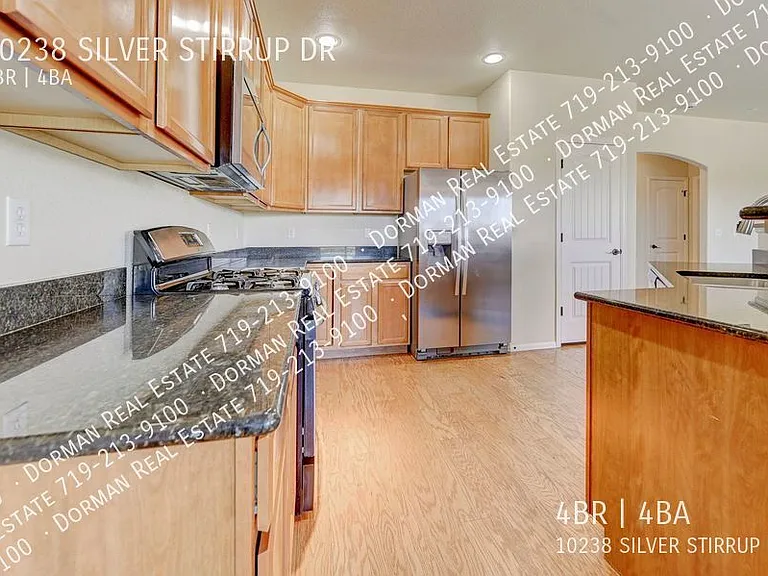 10238 Silver Stirrup Dr — Photo 6
