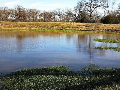 5549 Busa Rd, North Zulch, TX, 77872