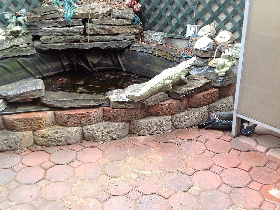 2nd image of 42 W 128th St APT 3