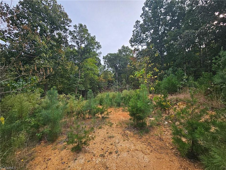 2nd image of 6530 Treetop Ct Lot 23
