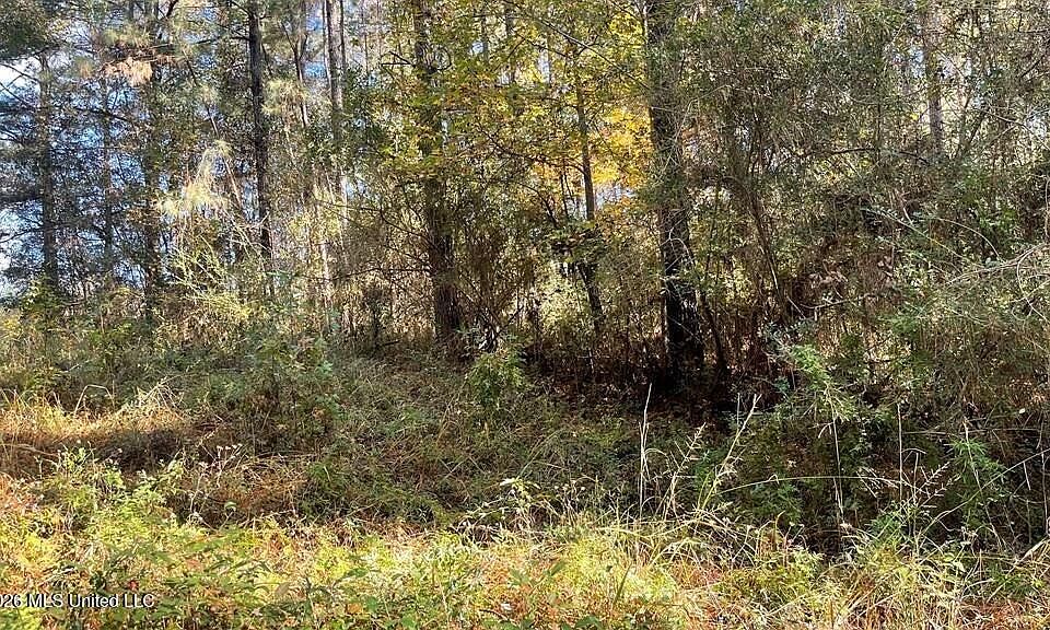 1st image of Schmidt Rd