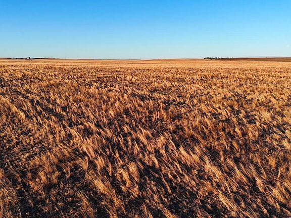 4th image of NW Hayes County