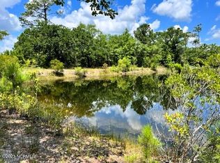 201 McCausley Rd, Hubert, NC 28539