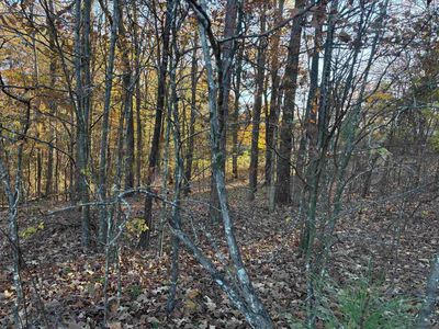 182 Fawn Dr #182, Middleton, TN, 38052