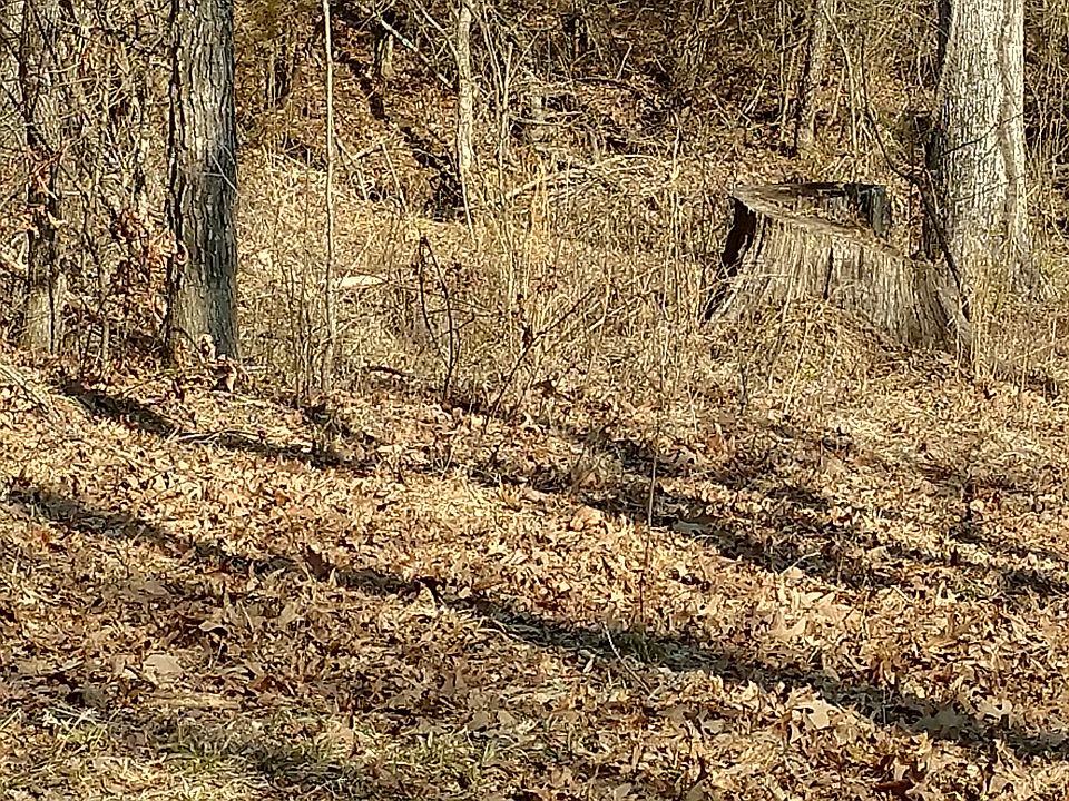 2nd image of Tucker Rd Hwy 63