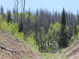 1448 County Road 372, Parshall, CO 80468