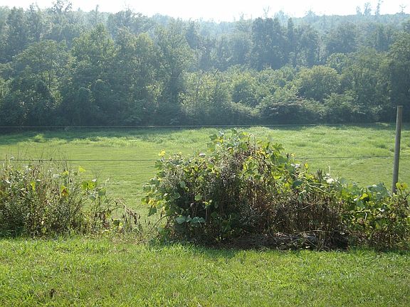 view from front door