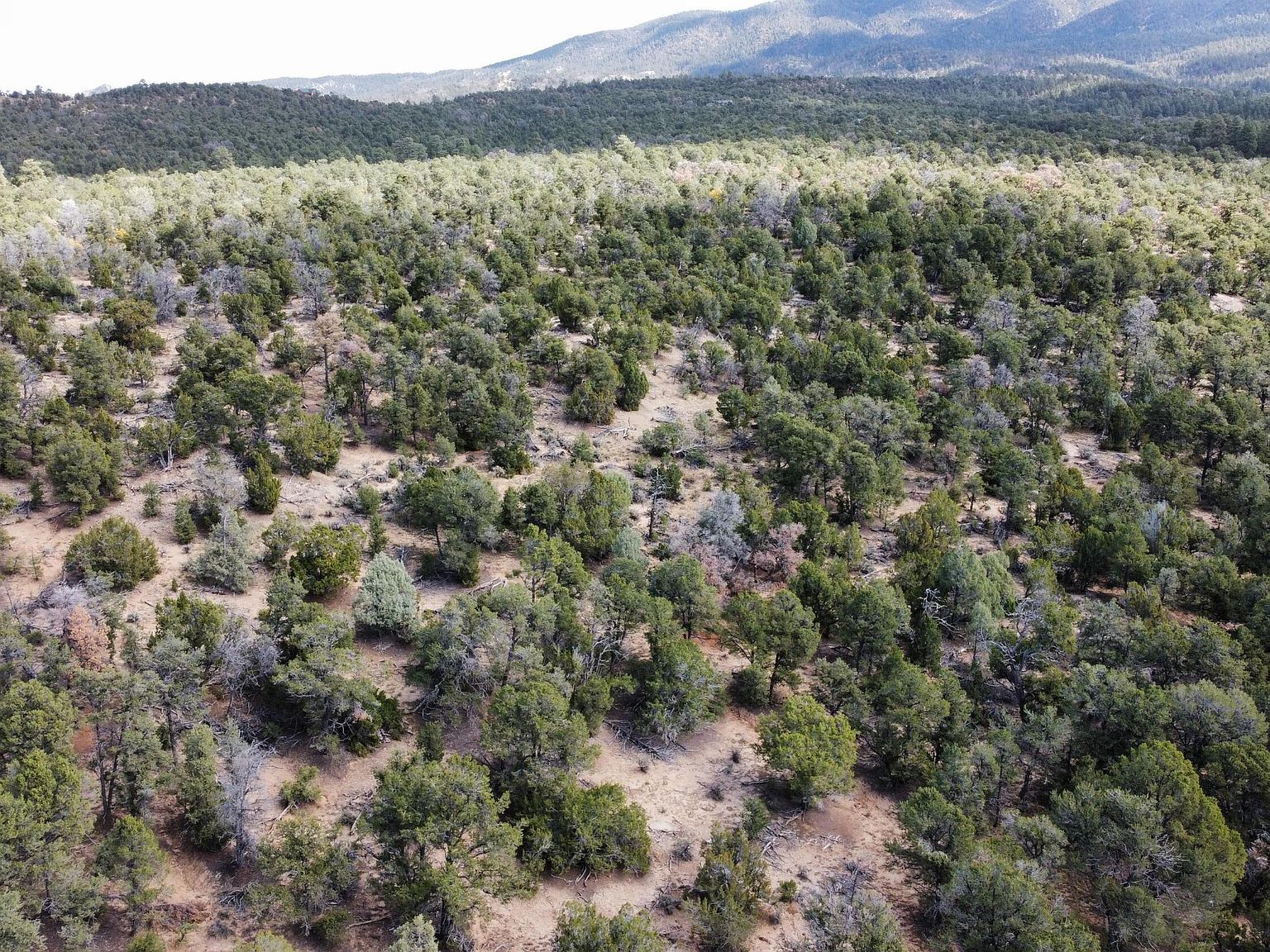 Naranjo Creek Rd, La Jara, NM 87027 Zillow