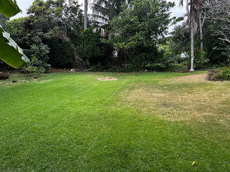 Lawai Rd — Photo 22