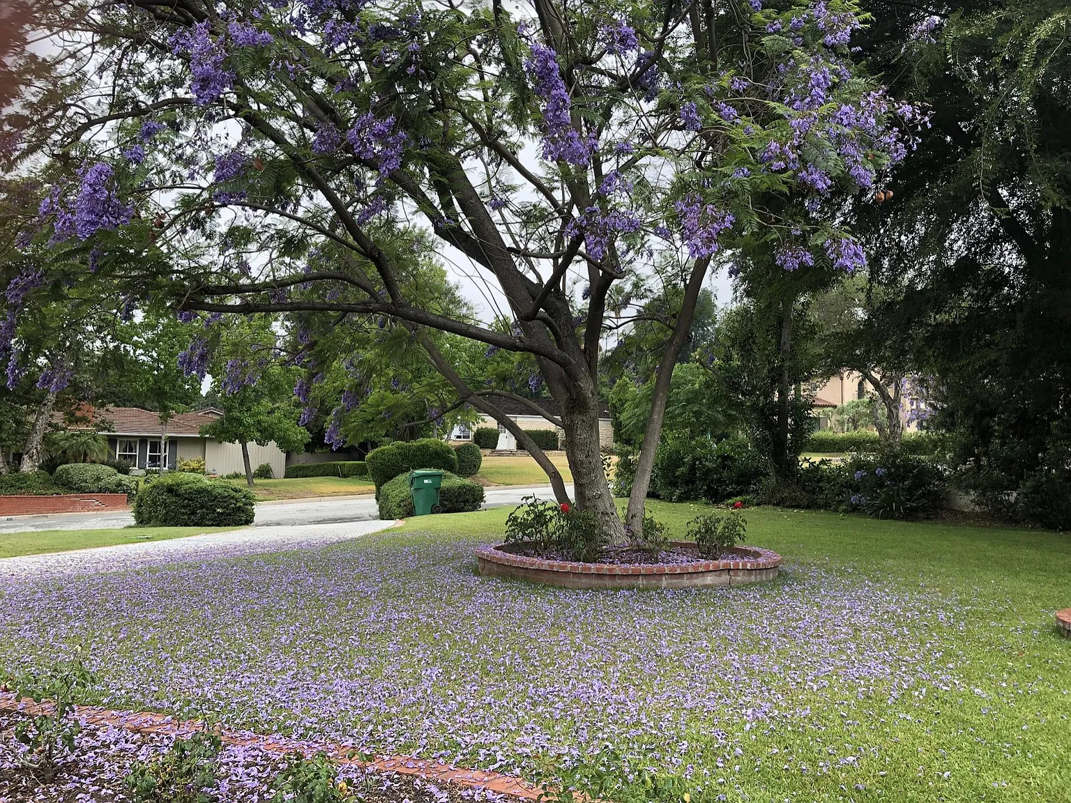 4 bed, 2378 sqft, $6,600 — Photo 2