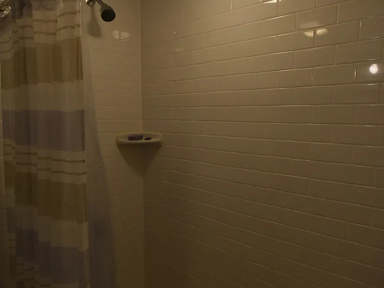 241 Hurley St #3 — Photo 13