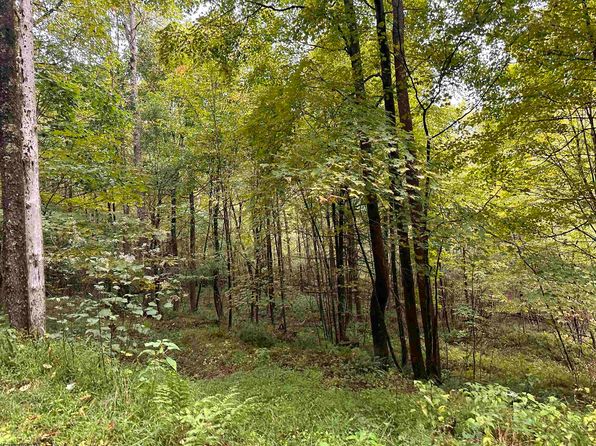 3 Deckers Trail Rd, Masontown, WV 26542