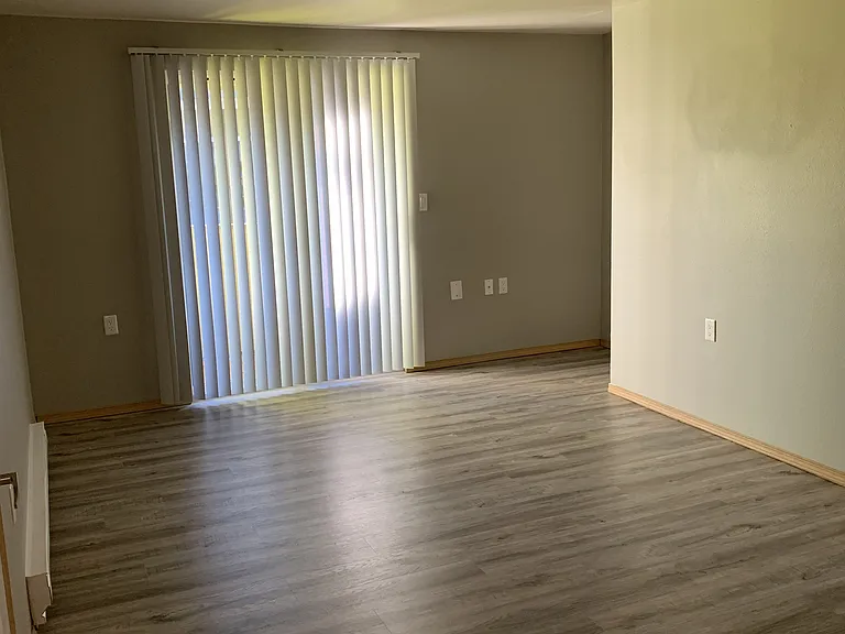 Spacious living room featuring wood-style flooring, neutral tones, and sliding glass doors with vertical blinds that bring in natural light. Offers an open layout with plenty of room for comfortable seating and easy access to outdoor patio.