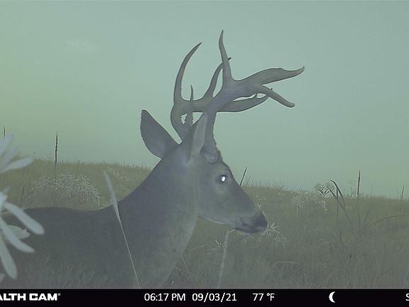 4th image of 1258 Steinke Rd