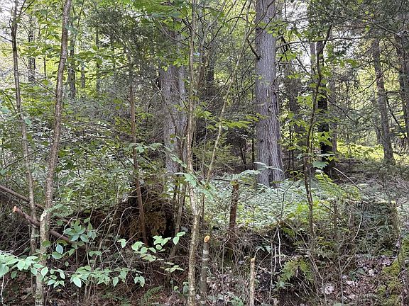 5th image of 11 Copperhead Rd