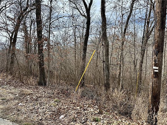 5th image of 15 Billingsley Dr