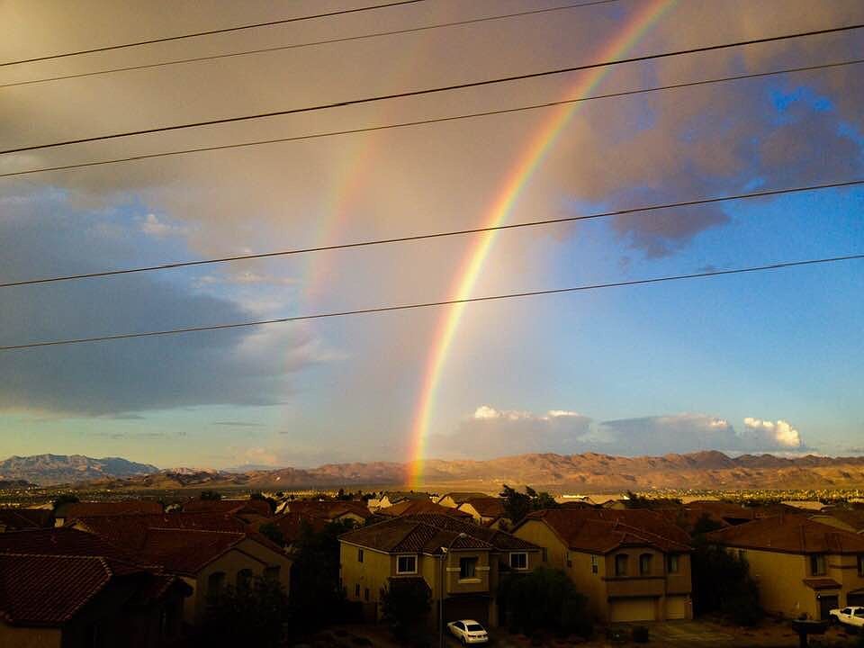 Backyard view