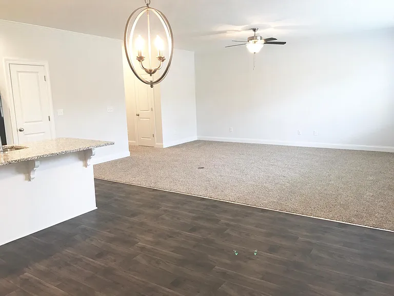 918 Williford Run Dr — Photo 4