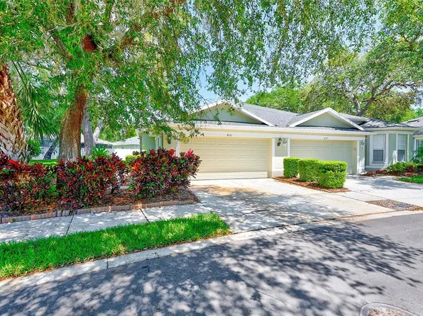 8521 Acorn Ridge Ct, Tampa, FL 33625