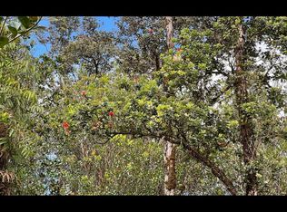 Opeapea Road Rd #7-LOT 4787, Mountain View, HI 96771