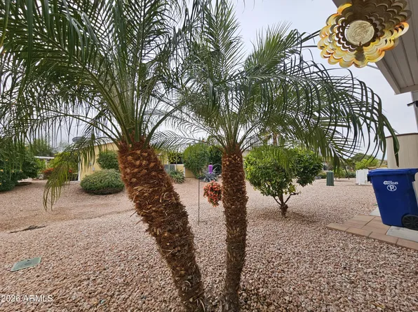 650 N Hawes Road #4411, Mesa, AZ 85207