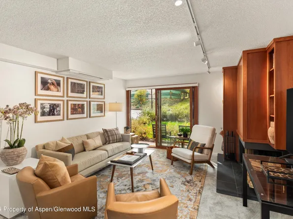 205 E Durant Ave APT 1C, Aspen, CO 81611
