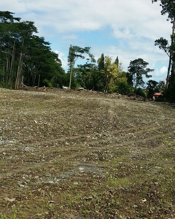 2nd image of 31st Ave Lot 319